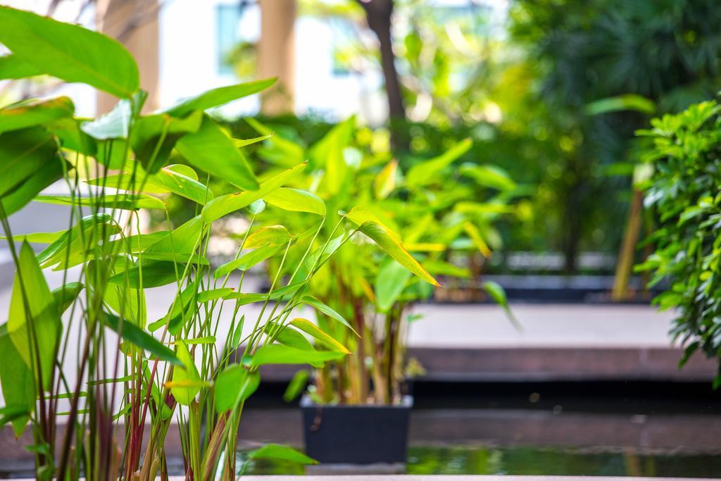 The Capital Resort @ Sukhumvit 50 Banguecoque Exterior foto Plants in a water garden